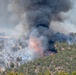 Ferris Fire