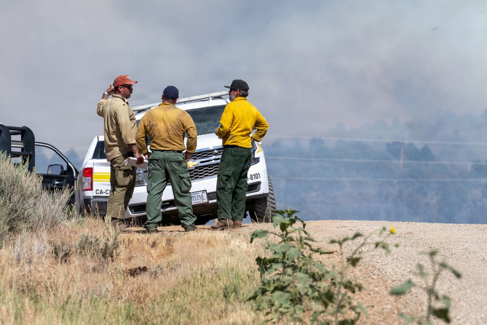 Ferris Fire