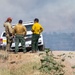 Ferris Fire