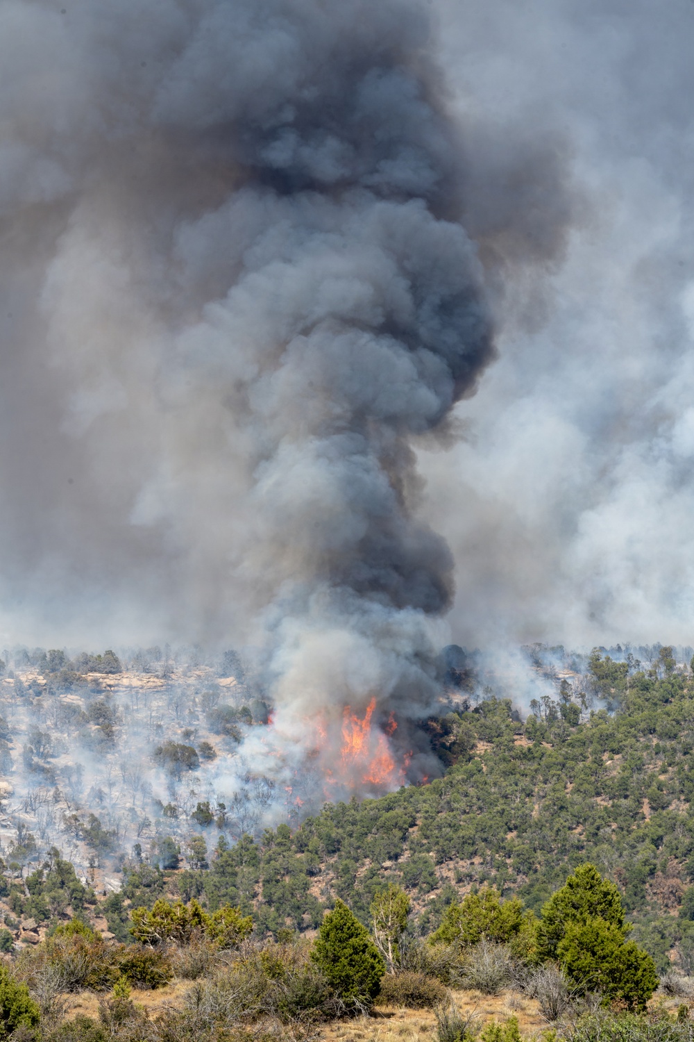 Ferris Fire