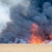 Ferris Fire