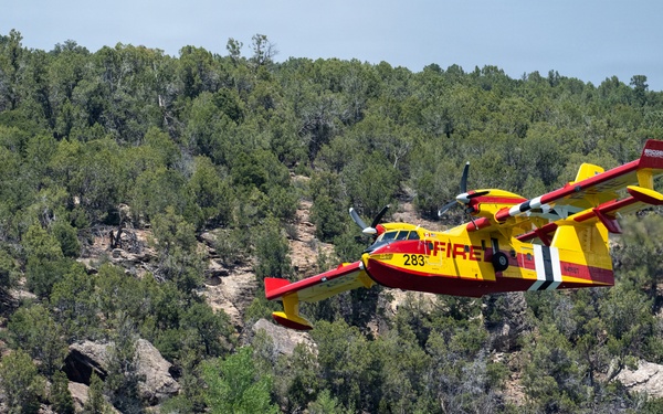 Ferris Fire