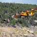 Ferris Fire