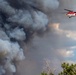 Ferris Fire