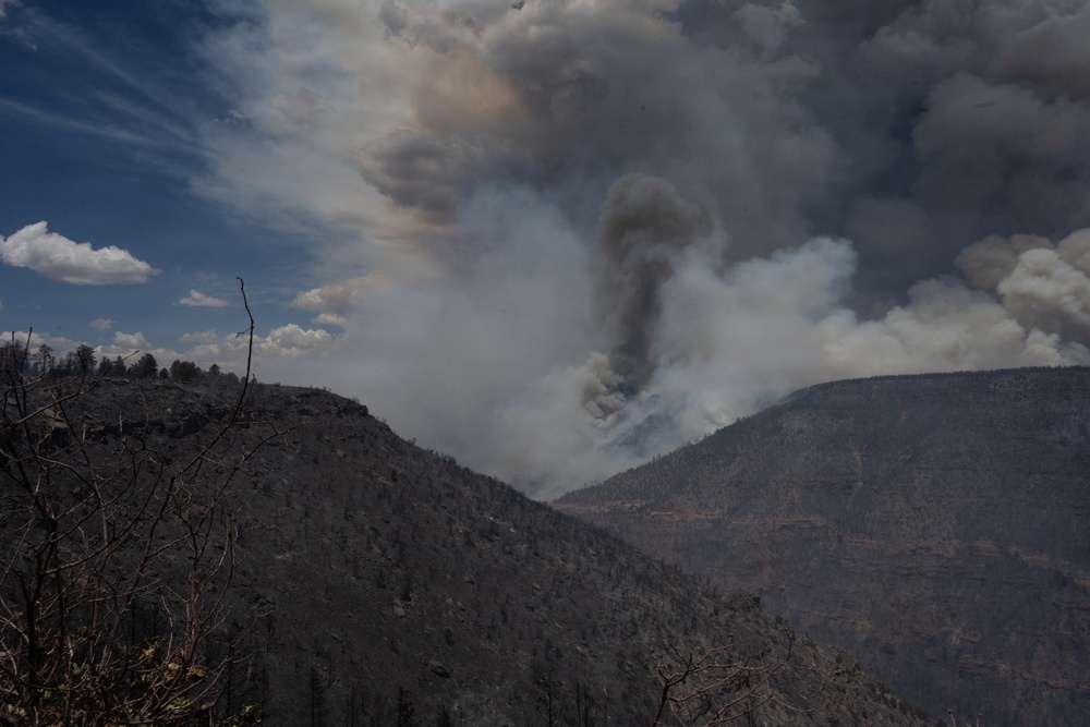 Ferris Fire