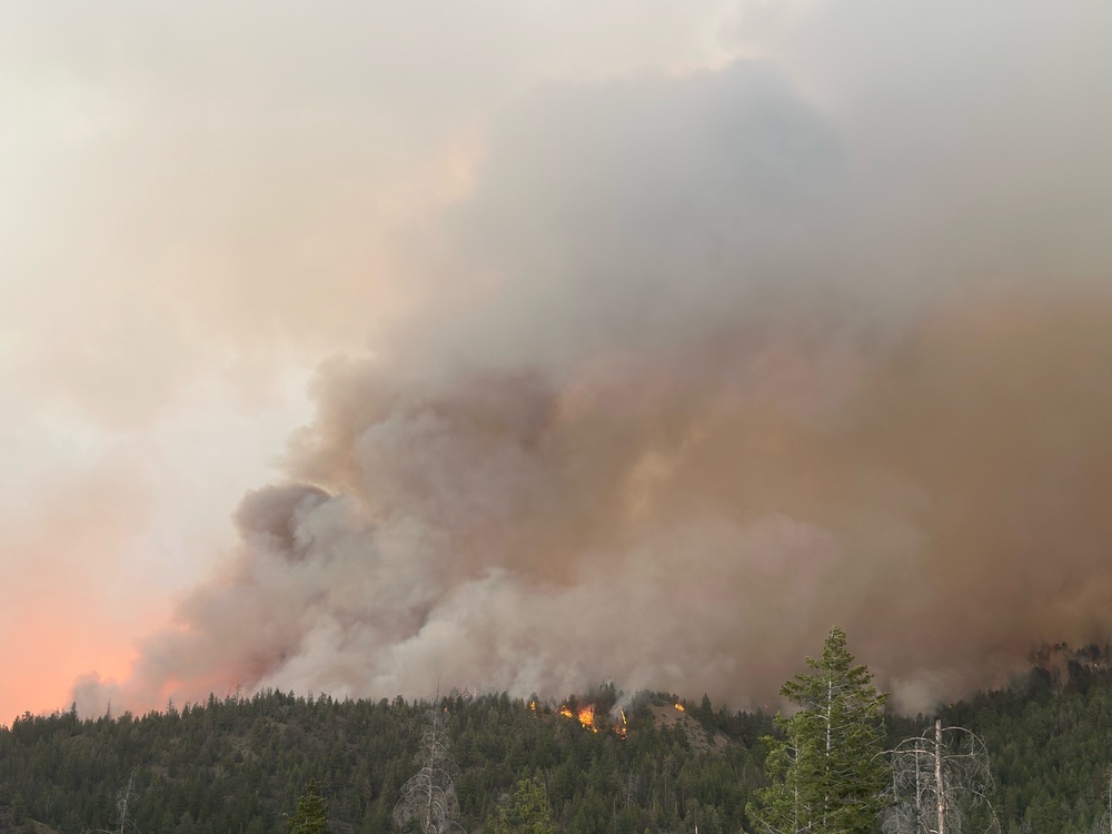 Coyote Fire