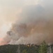 Coyote Fire