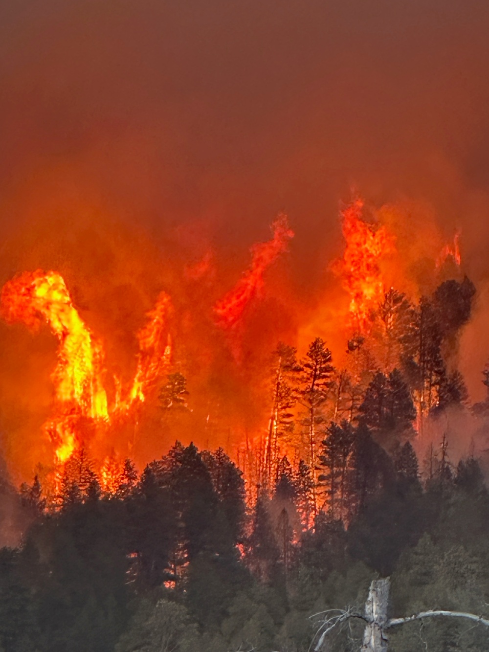Coyote Fire