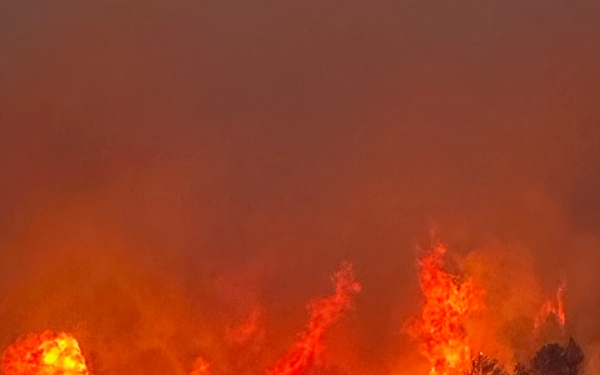 Coyote Fire