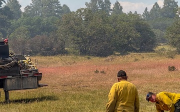 Ferris Fire