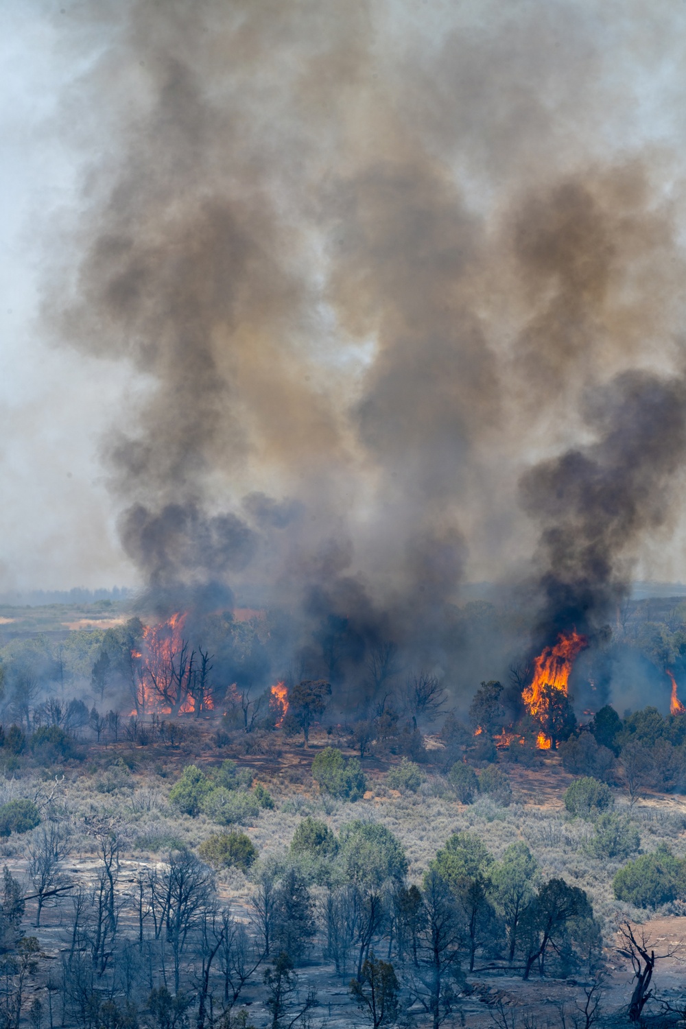 Ferris Fire