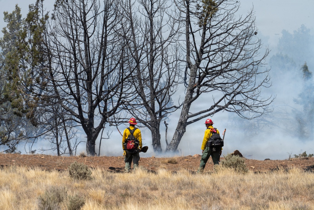 Ferris Fire