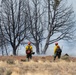 Ferris Fire