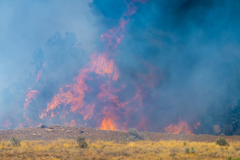 Ferris Fire