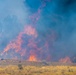 Ferris Fire