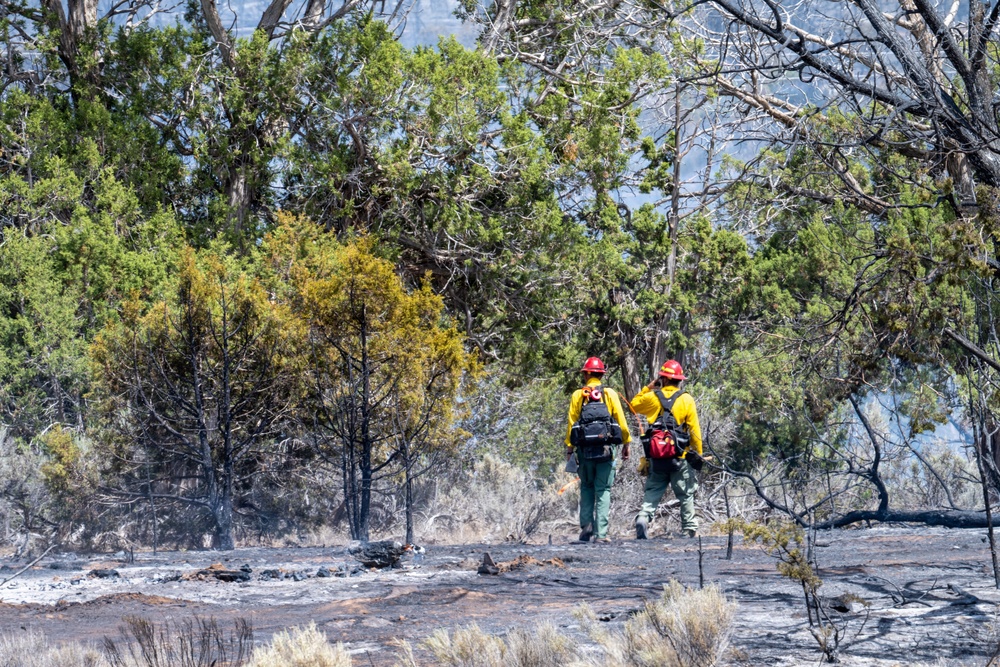 Ferris Fire