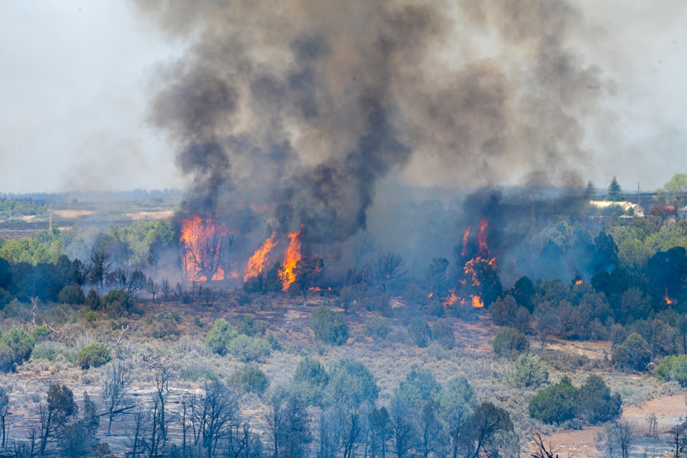 Ferris Fire