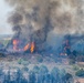 Ferris Fire