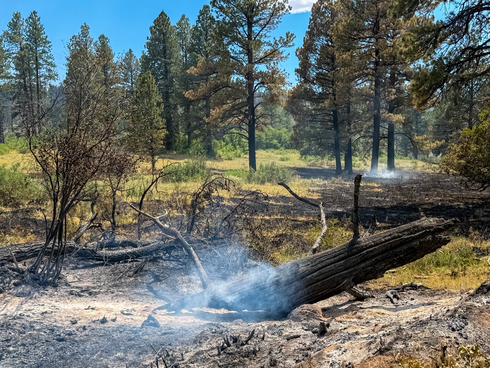 Ferris Fire
