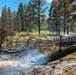Ferris Fire