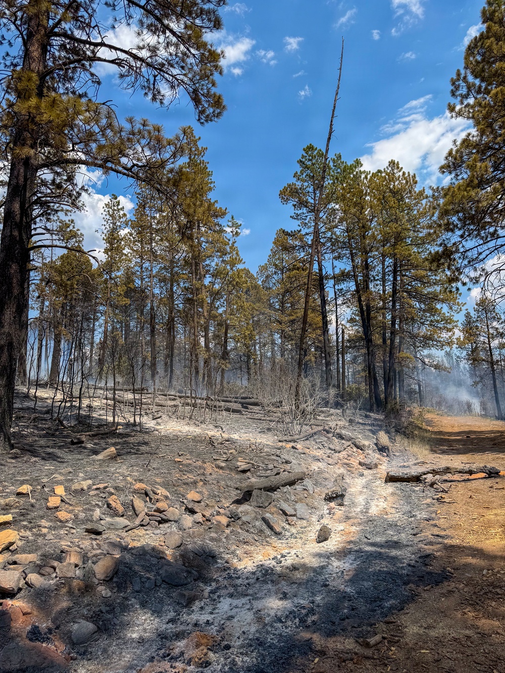 Ferris Fire