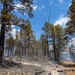 Ferris Fire