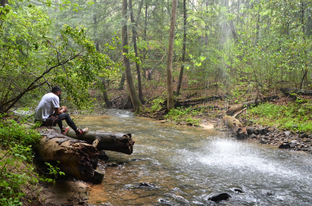 Forest Bathing in the Bankhead National Forest