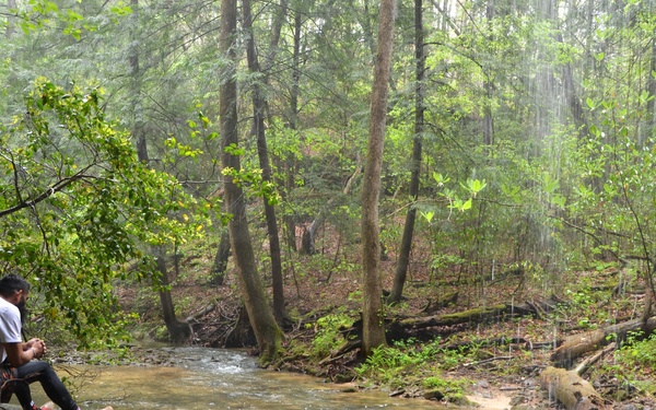 Forest Bathing in the Bankhead National Forest