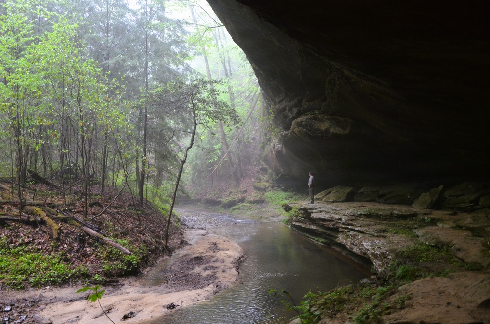 Forest Bathing in the Bankhead National Forest