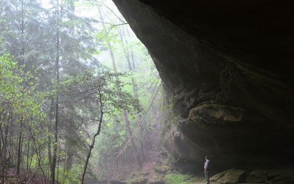Forest Bathing in the Bankhead National Forest