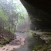 Forest Bathing in the Bankhead National Forest