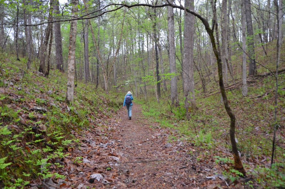 Forest Bathing in the Bankhead National Forest