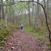 Forest Bathing in the Bankhead National Forest
