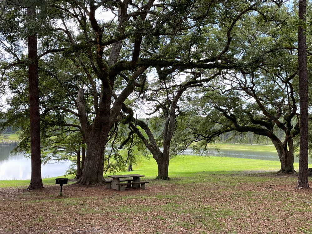 Open Pond Recreation Area in the Conecuh National Forest