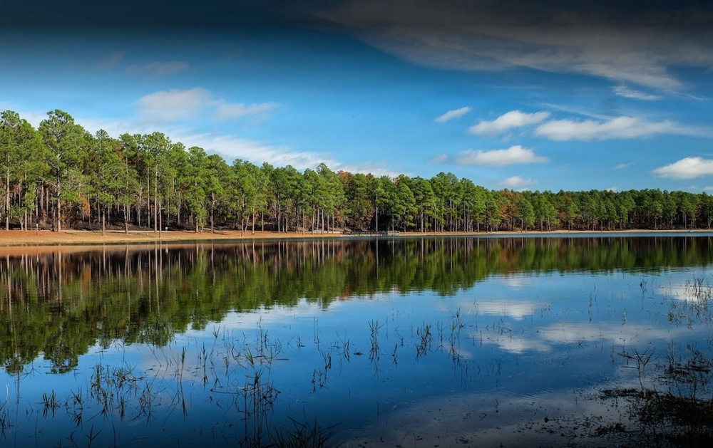 Open Pond Recreation Area in the Conecuh National Forest