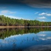Open Pond Recreation Area in the Conecuh National Forest