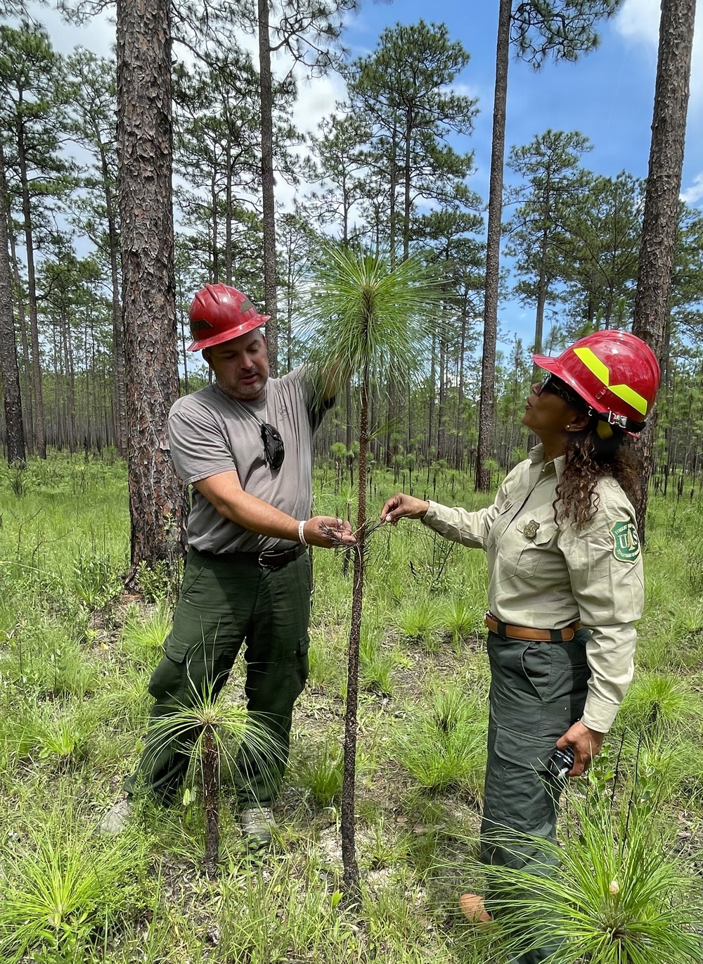 Associate Deputy Chief Michelle Samuel Foo Visits the Conecuh National Forest