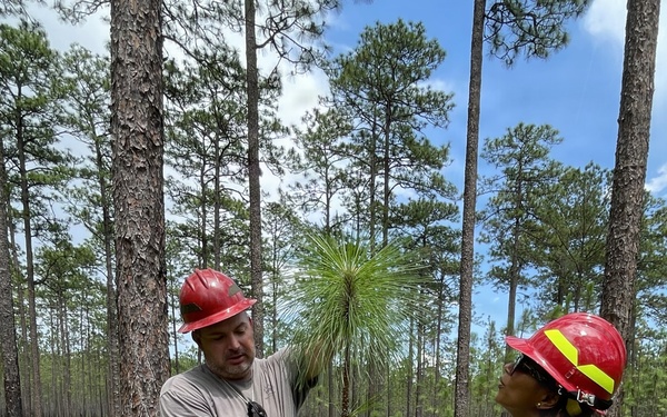 Associate Deputy Chief Michelle Samuel Foo Visits the Conecuh National Forest