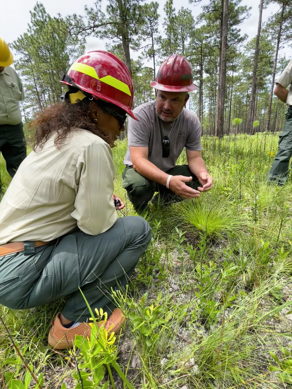 Associate Deputy Chief Michelle Samuel Foo Visits the Conecuh National Forest
