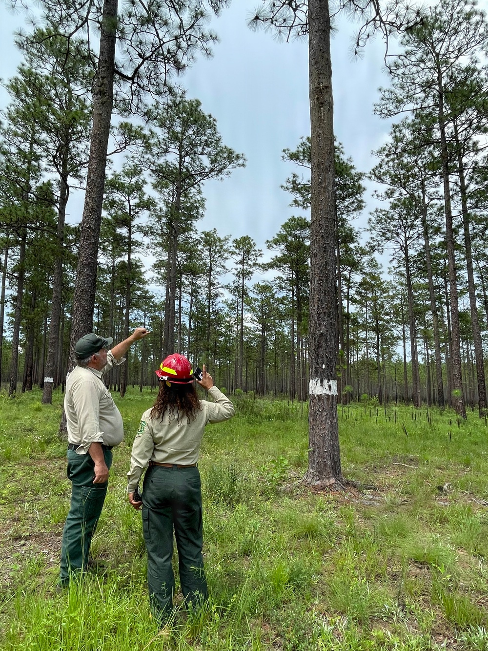 Associate Deputy Chief Michelle Samuel Foo Visits the Conecuh National Forest