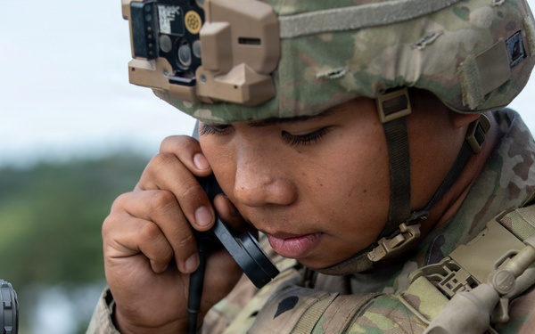 U.S. and British soldiers build interoperability as Paladins fire during range training