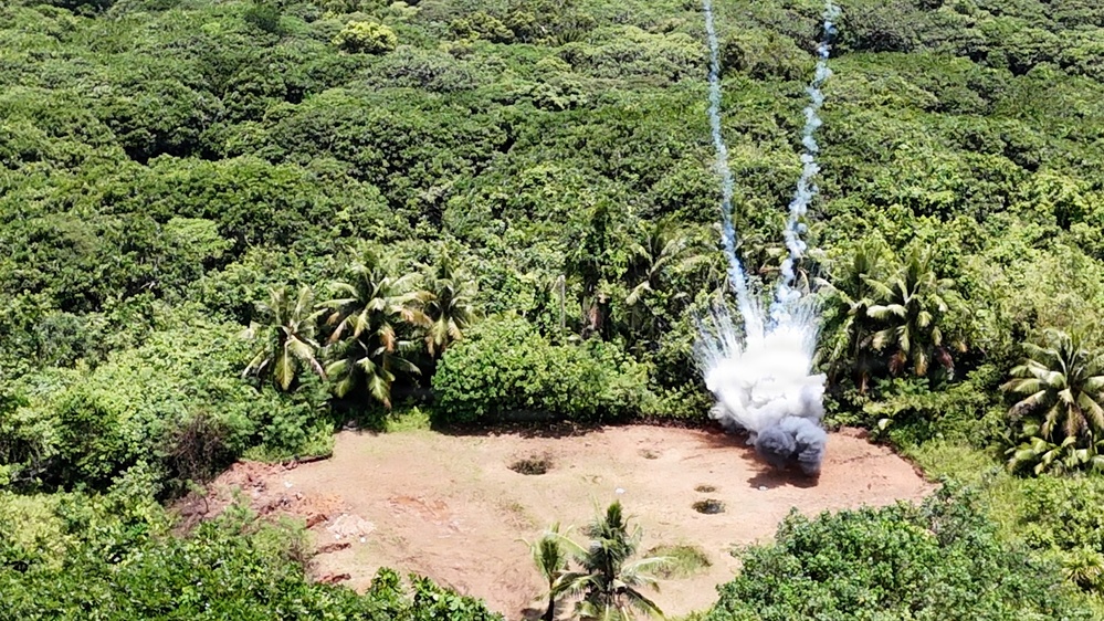 U.S Army EOD Detonates WWII White Phosphorus Munition