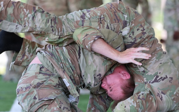 Soldiers build readiness through training at ANAD