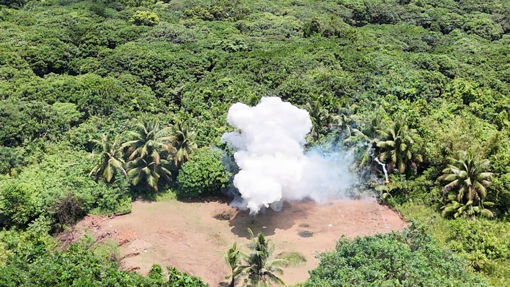 U.S Army EOD Detonates WWII White Phosphorus Munition