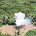 U.S Army EOD Detonates WWII White Phosphorus Munition
