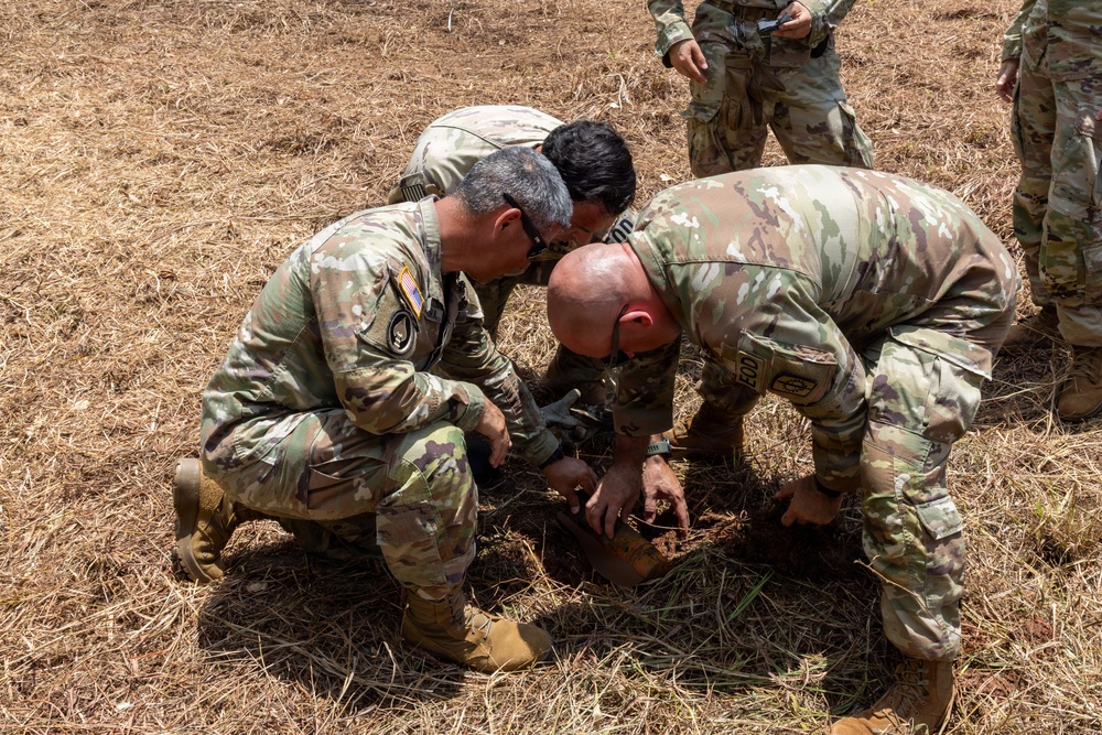 U.S Army EOD Detonates WWII White Phosphorus Munition