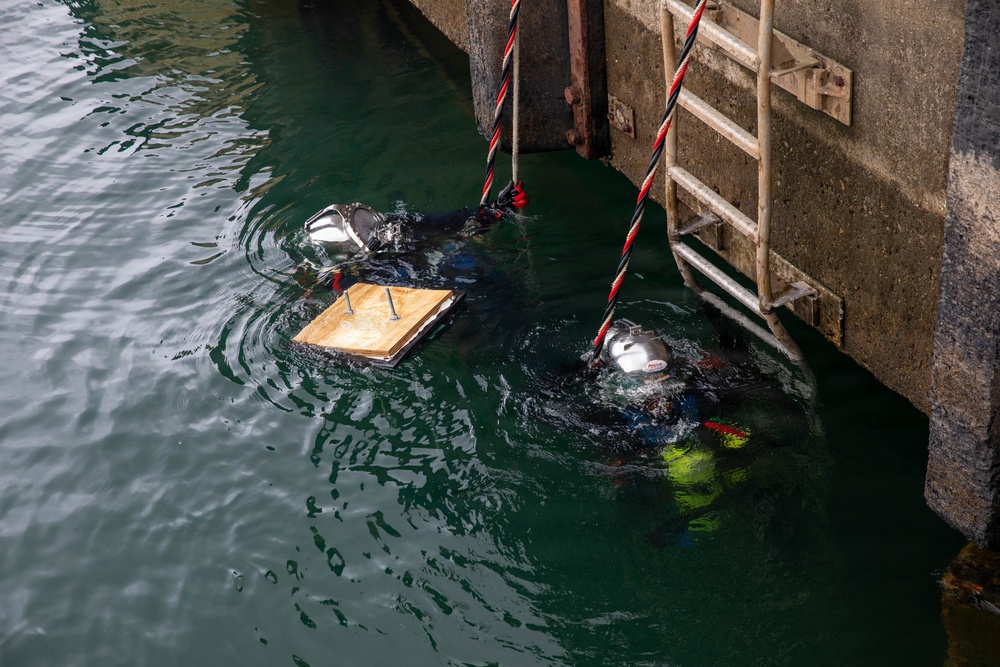 U.S. Army and Panamanian Divers conduct a Dive and Rescue Exercise