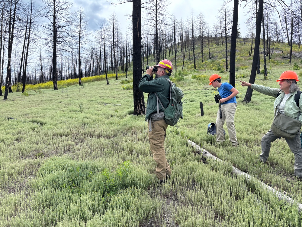 Biologists Look for Woodpeckers