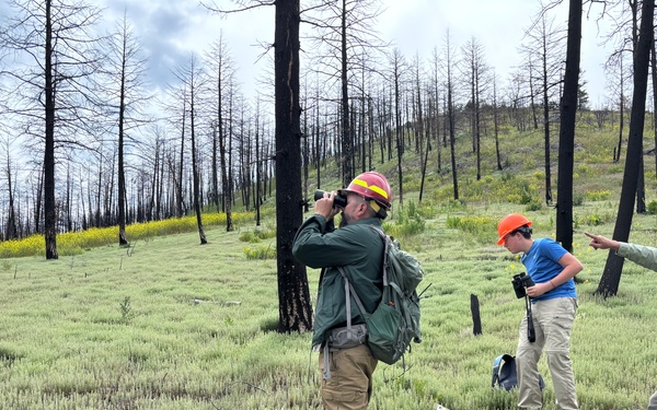 Biologists Look for Woodpeckers