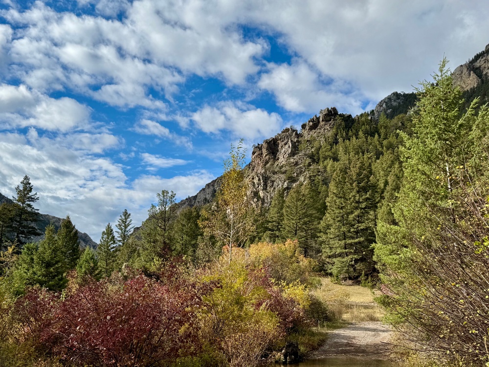 Helena-Lewis and Clark National Forest